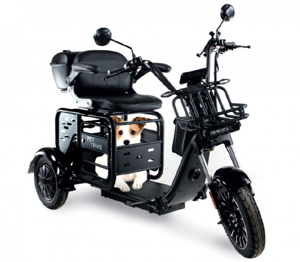 Pet Trike Elektro 3 Rad mit Hundebox