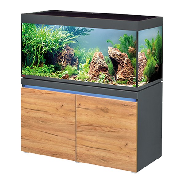Incpiria 430 LED Kombination Aquarium und Möbel graphite / natur