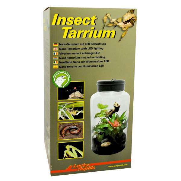 Insect Tarrium ca 15x15x25cm inkl. LED