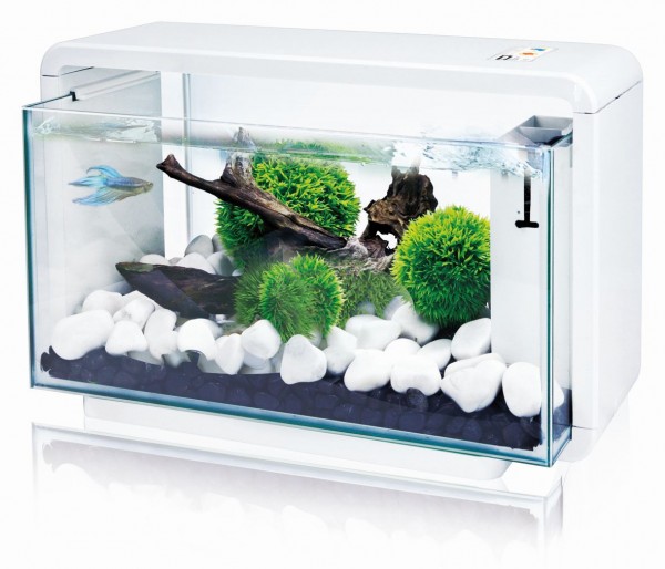 Aquarium E-25 weiss 47x25x28,5cm25L mit Filter und LED mit Sensor