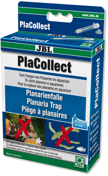 Planarienfalle PlaCollect