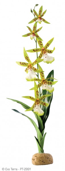 Künstliche Orchidee 6,5x5x45cm