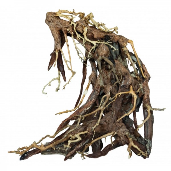 Bonsai Wurzel - Root L ca 26x18x27cm