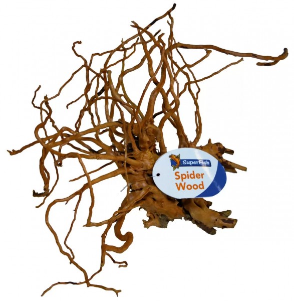 Spiderwood medium ca 30-40cm