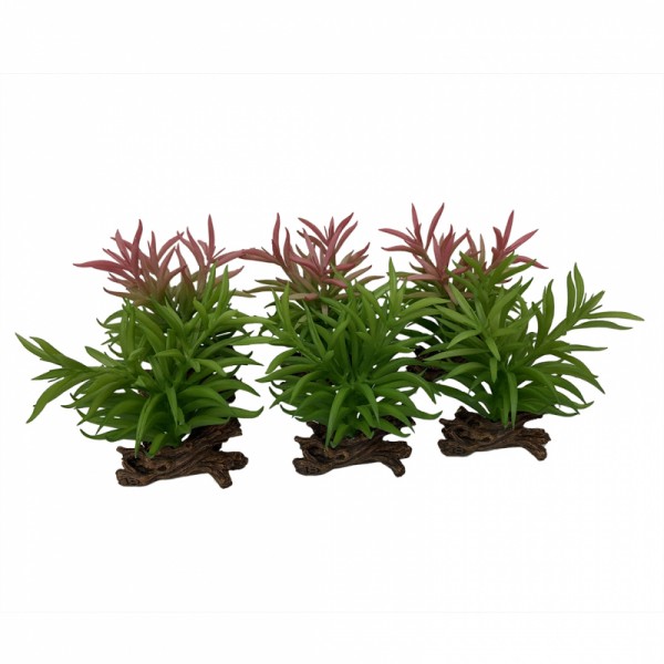 Kunststoff Terrarienpflanze Crassula 13x10,5x16cm div. Farben 1Stk