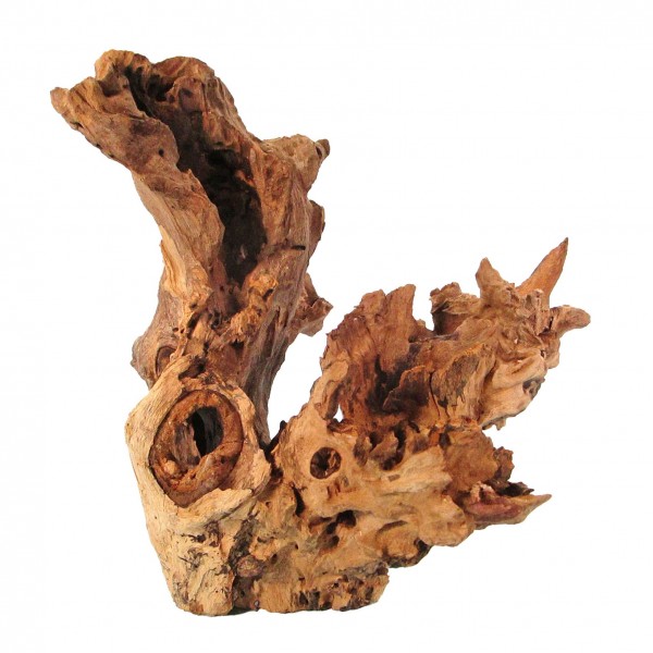 Barico Wurzel, jumbo, 50-70cm