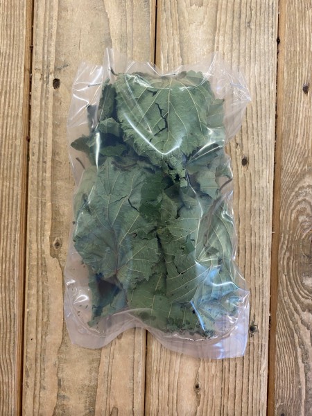 Haselnussblätter grün ca. 10-12g ideal für Garnelen