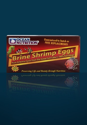Artemia/Brine Shrimp Eggs (box) Artemiaeier 50g