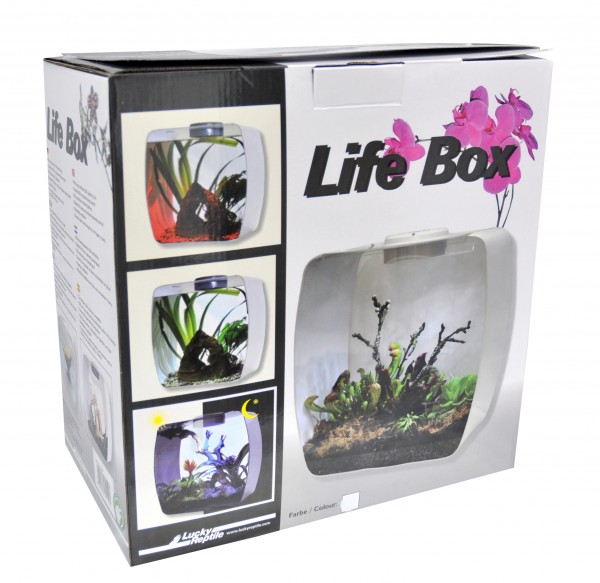 Life Box 35 weiss 35x20x35cm Insektenterrarium