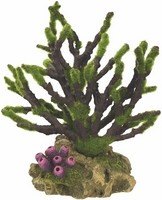 Aqua Ornaments Koralle mit Moos 19x12x20,8cm
