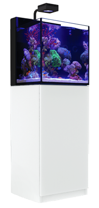 MAX® NANO Complete Reef System - White mit Technik