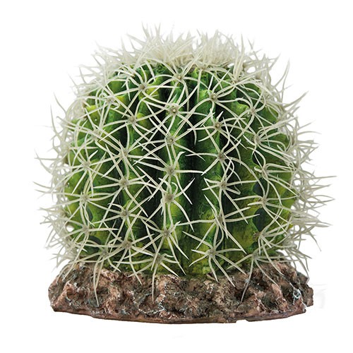 Kaktus Sonora M 15x15x13cm