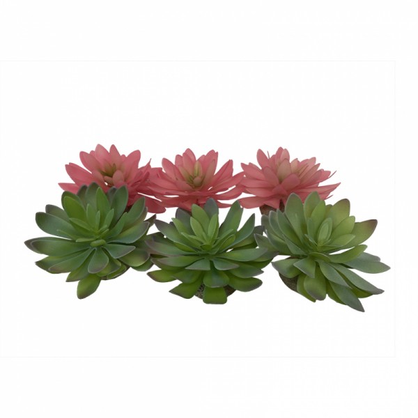 Kunststoff Terrarienpflanze Echeveria 14x12,5x9,2cm div. Farben 1Stk