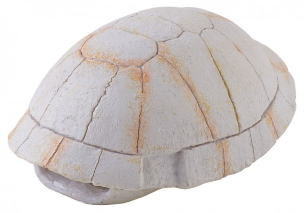 Tortoise Skeleton 13x9x5,5cm