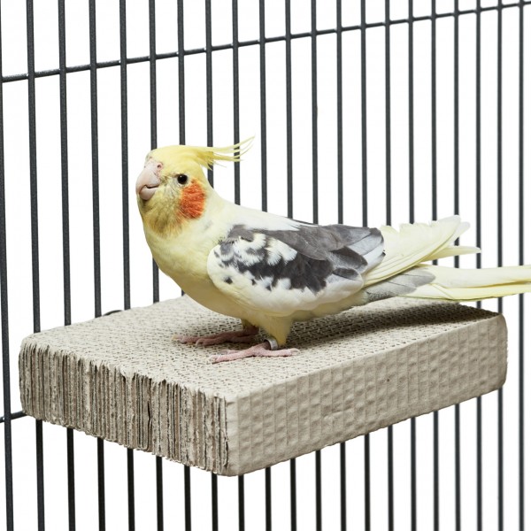 Happy Bird Cardboard Treat Block M