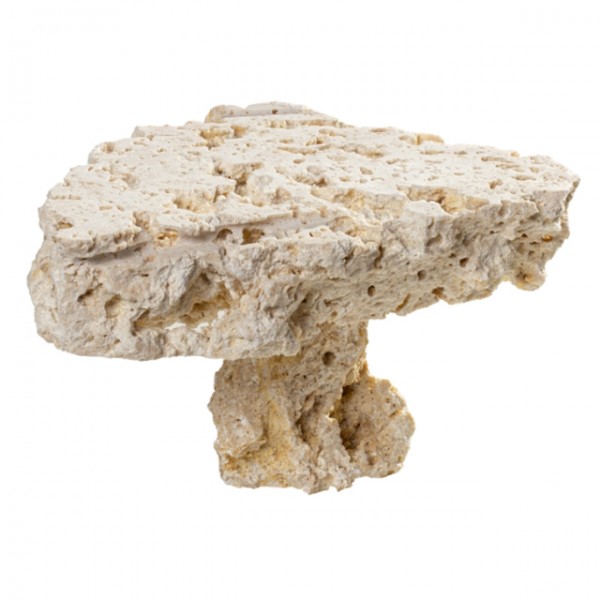 myReef-Rocks Platten, beidseitig geschnitten mit Sockel ca. 20 - 30 cm, 10 St. / Karton