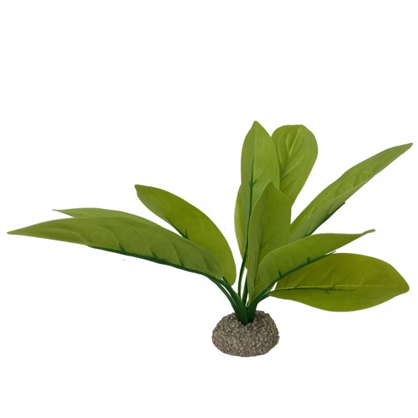 Plastikpflanze Echinodorus 3 grün 24cm