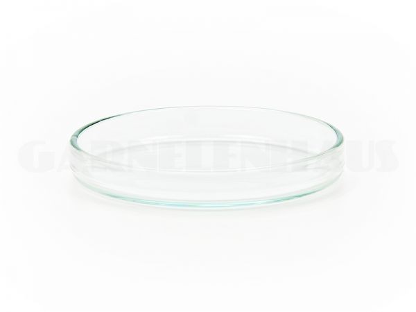 Futterschale aus Glas Ø:6cm H:1,1cm