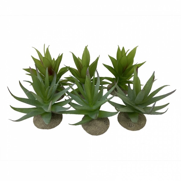 Kunststoff Terrarienpflanze Aloe 12x11x11cm div. Farben 1Stk