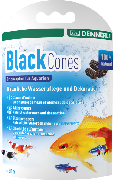 Black Cones (Erlenzäpfchen) ca. 50Stk.