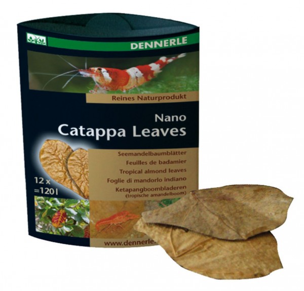 Nano Catappa Leaves (Seemandelbaumblätter) 12Stk.