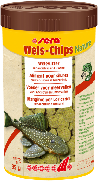 Wels-Chips Nature 250ml