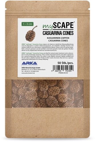 Myscape-Casuarina Cones 50 Stück