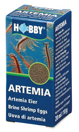 Artemia Eier 20ml
