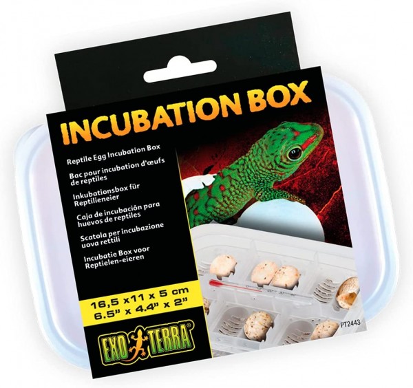 Incubation Box 16.5x11x5cm Inkubationsbox für Reptilieneier