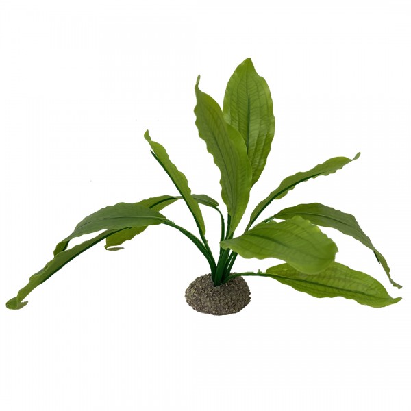 Plastikpflanze Echinodorus 2 grün 24cm