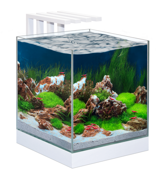 Nano Aquariumset Nexus Pure 25 LED 29x33,8x38cm 22L weiss