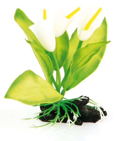 Plastikpflanze Fantasy Nano grün-weiss 10cm