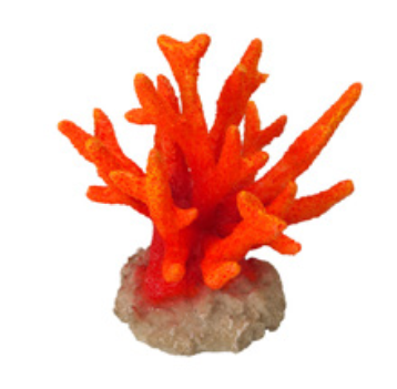 Coral Seriatopora Orange ca 8,5x8,5x9cm