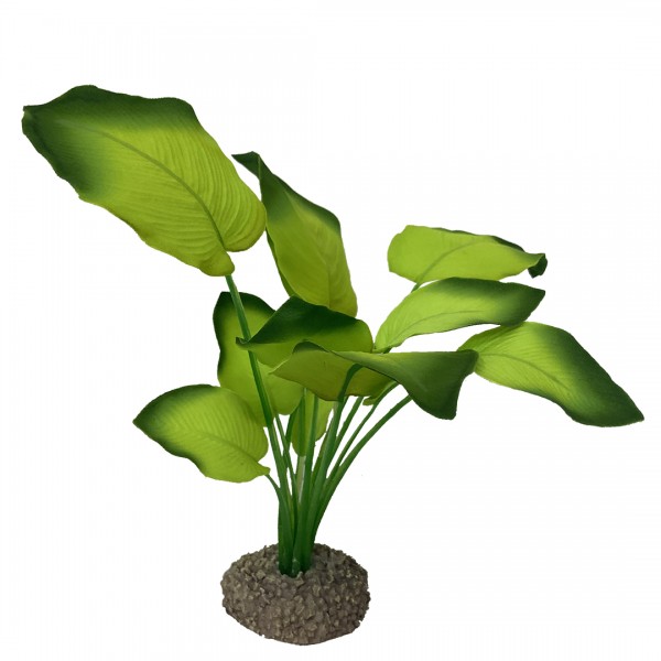 Plastikpflanze Anubias 3 grün 20cm