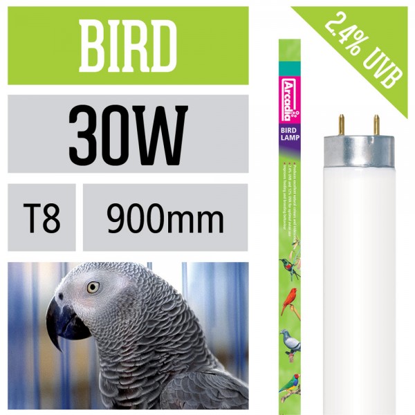 Leuchtstoffröhre für Vögel T8 30W 900mm