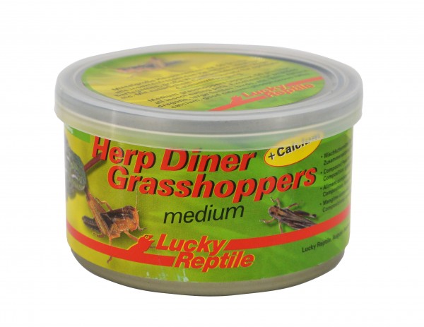 Herp Diner Grasshoppers mittel 35g ca 50Stk