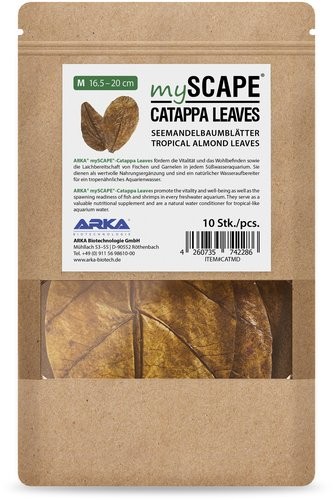 Myscape-Catappa Leaves Smal 10 Stück