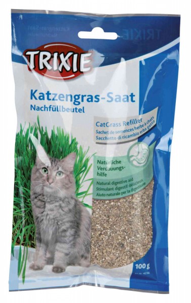 Katzengras-Saat Nachfüllbeutel 100g