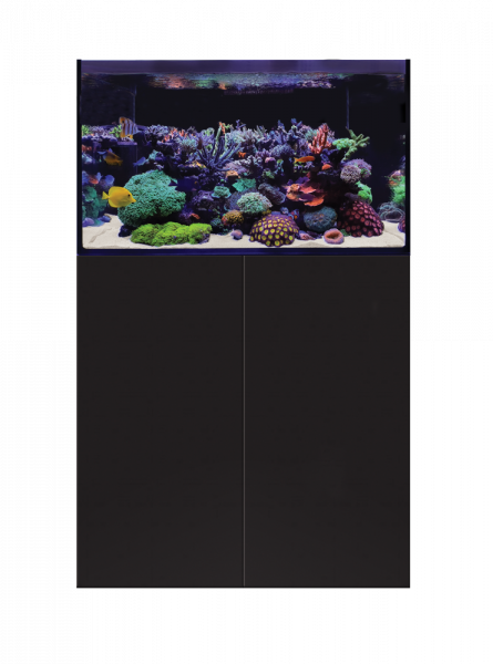 D-D Aqua-Pro Reef 900- BLACK SATIN