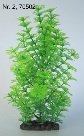 Plastikpflanze 32-38cm Cabomba für Aquarien und Terrarien