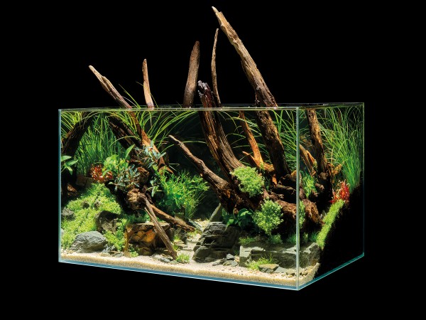 ScaperLine 60 Aquarium 60 x35 x35cm ,,Netto,,